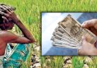 Khed Fraud News | खेड तालुक्यात १२ शेतकऱ्यांची सुमारे १३ लाखांची फसवणूक; जुन्नरच्या शेतकरी व्यापाऱ्यास अटक