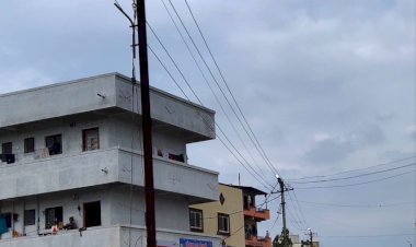 वासुली गावात पोलवरील लाईट दिवसाढवळ्या सुरू ? नेमलेल्या वीज वितरण कंपनीच्या वायरमनचे दुर्लक्ष.