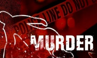 बंदुकीतून गोळ्या झाडल्या  ; कोयत्याने वार पिंपरीतील गुंडाचा खून