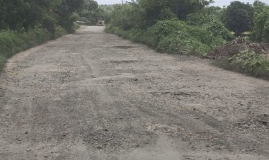 शिरोली - वांद्रा - पाईट रस्त्याची दुरवस्था | प्रशासनाचे दुर्लक्ष