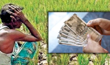 Khed Fraud News | खेड तालुक्यात १२ शेतकऱ्यांची सुमारे १३ लाखांची फसवणूक; जुन्नरच्या शेतकरी व्यापाऱ्यास अटक