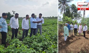 Khed Crop Damage Survey | खेड तालुक्यात खरीप पिकांच्या नुकसानीचे पंचनामे सुरू; २५० कर्मचाऱ्यांची नियुक्ती