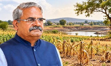 Drought Relief Demand to CM | आंबेगाव, जुन्नर, हवेलीचा दुष्काळग्रस्त यादीत समावेश करा; शिवाजी आढळराव पाटील यांची मुख्यमंत्र्यांकडे मागणी