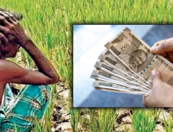 Khed Fraud News | खेड तालुक्यात १२ शेतकऱ्यांची सुमारे १३ लाखांची फसवणूक; जुन्नरच्या शेतकरी व्यापाऱ्यास अटक
