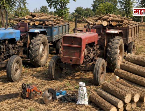 Forest department khed | चास परिसरातील अनधिकृत वृक्षतोडीवर वनविभागाचा मोठा घाव; दोन ट्रॅक्टर, इलेक्ट्रिक मशीन जप्त