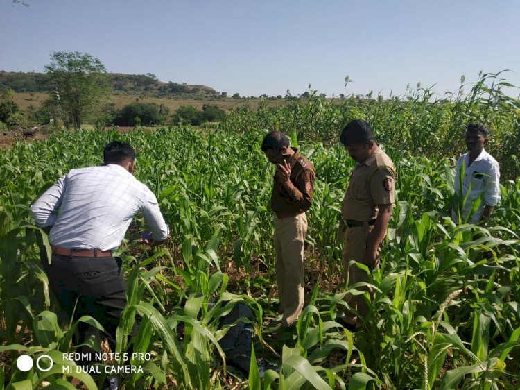 बहिणीला त्रास देतो म्हणून भावाने तरुणाचा केला खून