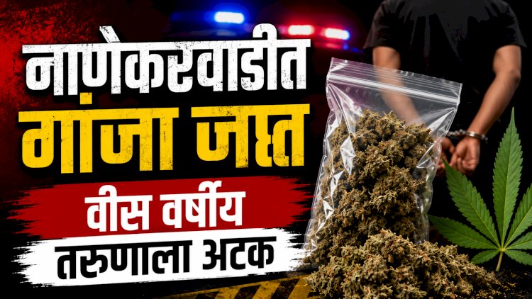 Crime news | नाणेकरवाडीत ५६२ ग्रॅम गांजा जप्त; २० वर्षीय तरुणाला अटक