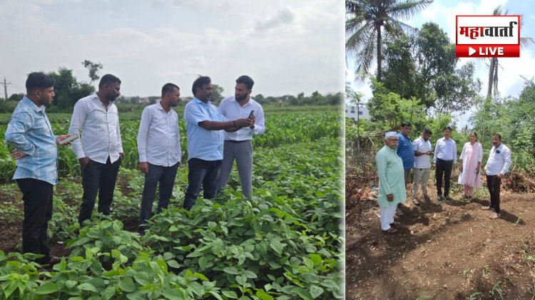 Khed Crop Damage Survey | खेड तालुक्यात खरीप पिकांच्या नुकसानीचे पंचनामे सुरू; २५० कर्मचाऱ्यांची नियुक्ती
